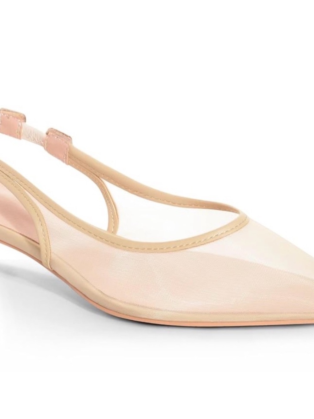 Sheer Pointed Toe Slingback Flats in Nude